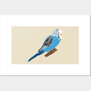 Nice Artwork showing a Blue Budgie V Posters and Art